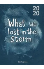 What We Lost In The Storm