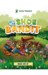 The Shoe Bandit