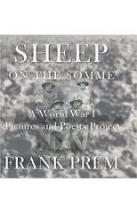 Sheep On The Somme