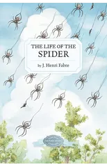 The Life of the Spider