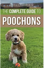 The Complete Guide to Poochons