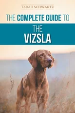 The Complete Guide to the Vizsla