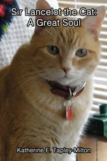 Sir Lancelot the Cat
