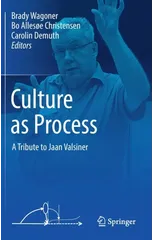 Culture as Process