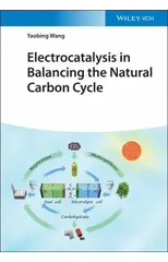 Electrocatalysis in Balancing the Natural Carbon Cycle