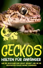 Geckos halten fur Anfanger