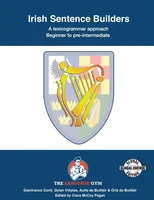 Irish Sentence Builders - a Lexicogrammar Approach