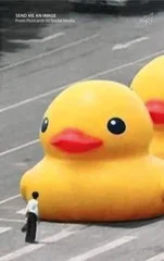 Felix Hoffmann and Kathrin Schonegg (eds.)