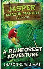 A Rainforest Adventure
