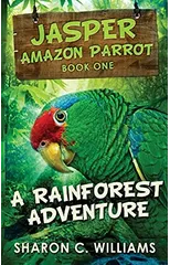 A Rainforest Adventure