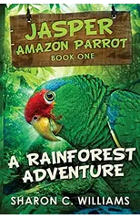A Rainforest Adventure