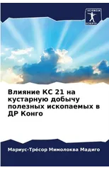 Влияние КС 21 на кустарную добычу п