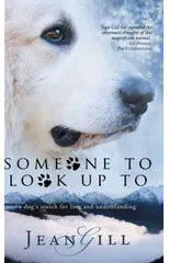 Someone To Look Up To