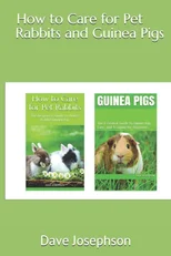 How to Care for Pet Rabbits and Guinea Pigs