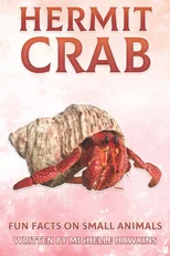 Hermit Crab