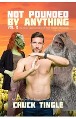 Not Pounded By Anything Vol. 2