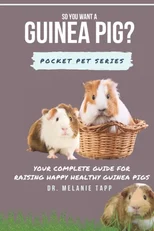 So You Want A Guinea Pig?
