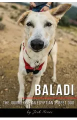 Baladi