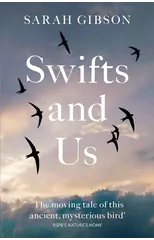 Swifts and Us