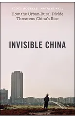 Invisible China