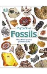 My Book of Fossils