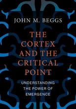 The Cortex and the Critical Point