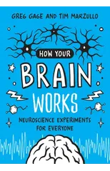How Your Brain Works