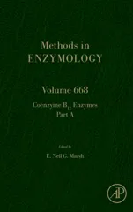 Coenzyme B12 Enzymes Part a