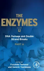DNA Damage and Double Strand Breaks