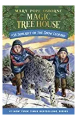 Sunlight on the Snow Leopard