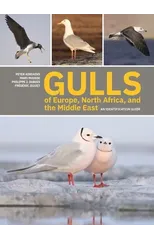 Gulls of Europe, North Africa, and the Middle East
