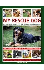 My Rescue Dog