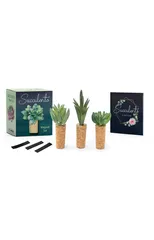 Succulents Magnet Set