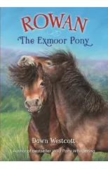Rowan The Exmoor Pony