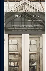 Pear Culture