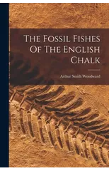 The Fossil Fishes Of The English Chalk