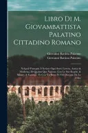 Libro di M. Giovambattista Palatino cittadino romano