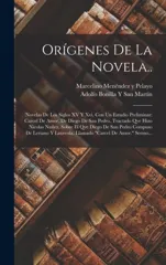 Origenes De La Novela..