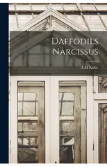 Daffodils Narcissus