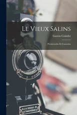 Le Vieux Salins