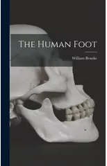 The Human Foot