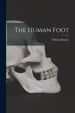 The Human Foot