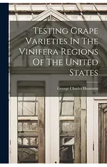 Testing Grape Varieties In The Vinifera Regions Of The United States