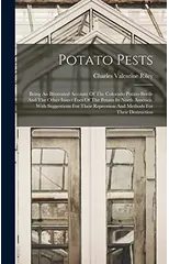 Potato Pests
