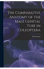 The Comparative Anatomy of the Male Genital Tube in Coleoptera
