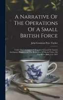 A Narrative Of The Operations Of A Small British Force