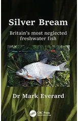 Silver Bream