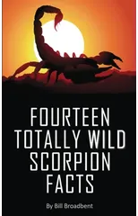 Fourteen Totally Wild Scorpion Facts