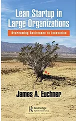 Lean Startup in Large Organizations