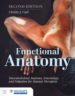 Functional Anatomy